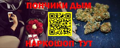 крисы Ставрополь