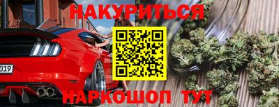 крисы Ставрополь